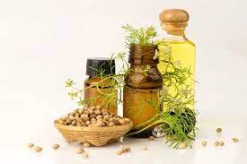 Coriander Seed Oil