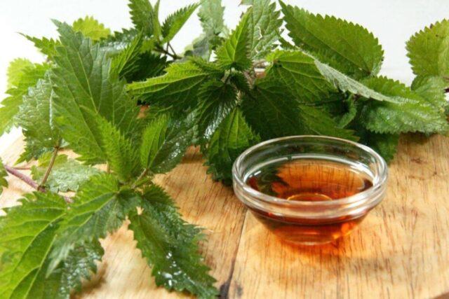 Nettle Seed Oil