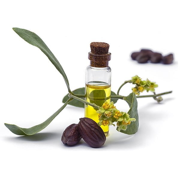 Jojoba Seed Oil