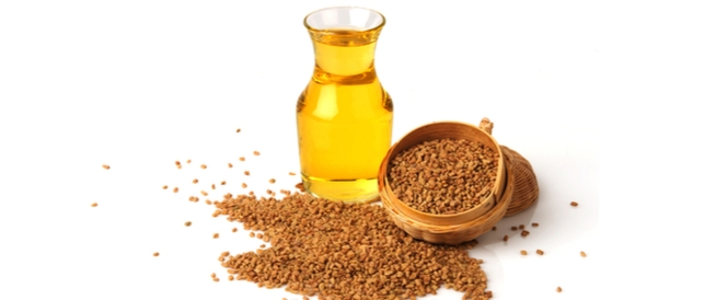 Fenugreek Seed Oil