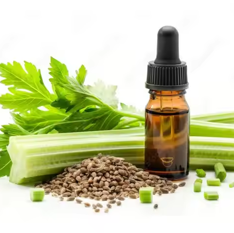 Celery Seed Oil