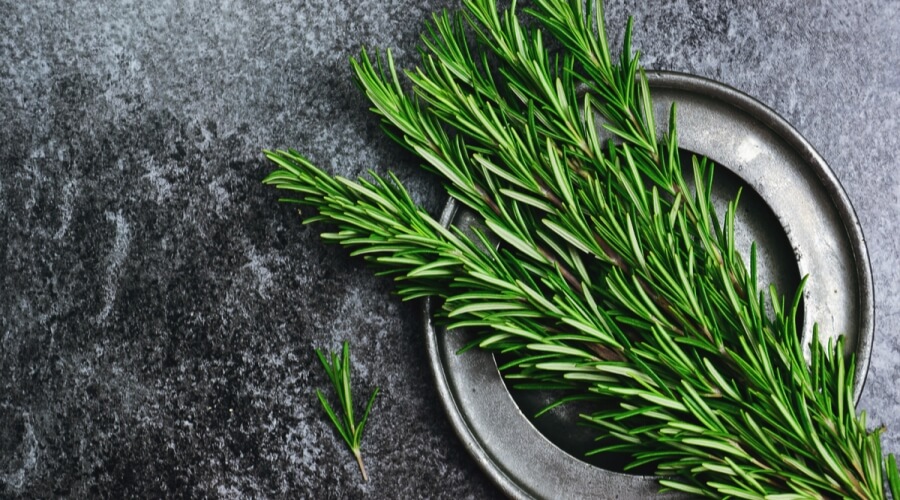 Hydrosol water Rosemary